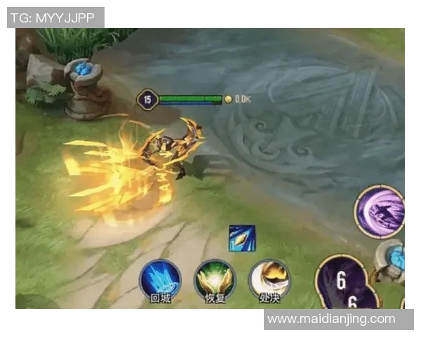 深入探讨王者荣耀FPX战队的技术策略与战术创新分析